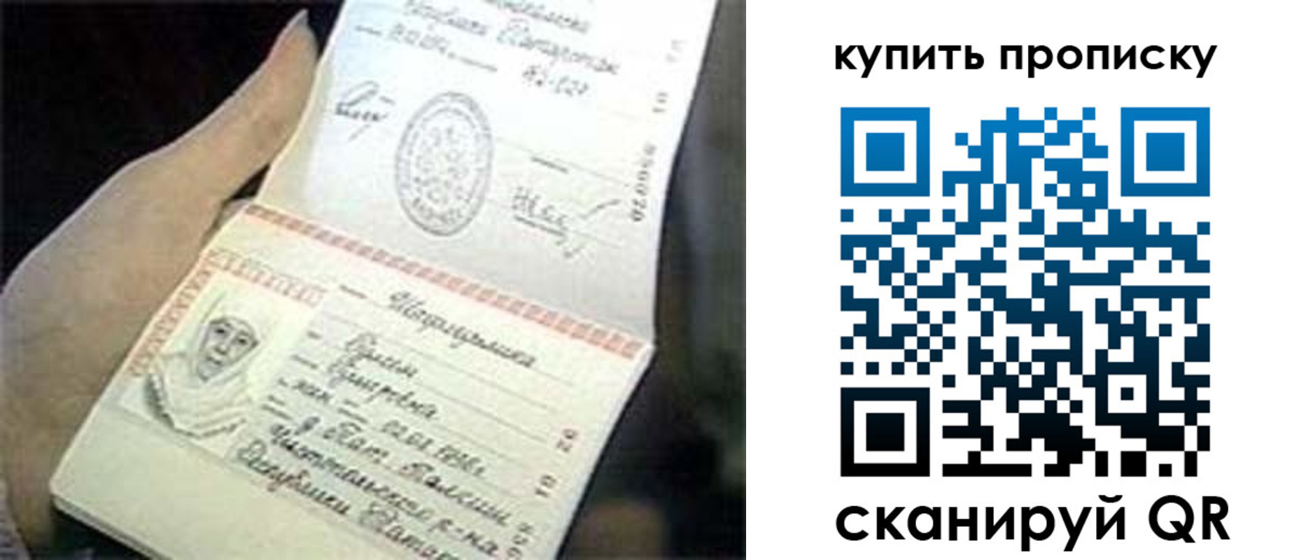 прописка поиск в Темрюке